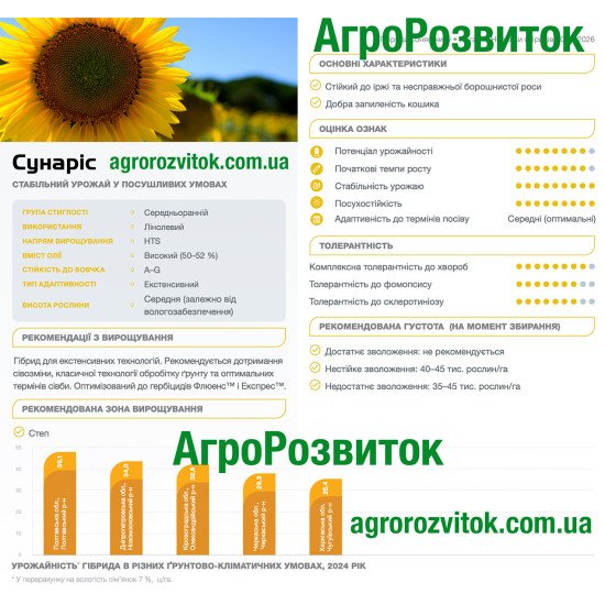 Сунаріс Сингента – середньоранній HTS-гібрид, 50–52% олії, стійкий до вовчка A–G та іржі