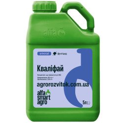 Кваліфай