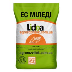 Міледі