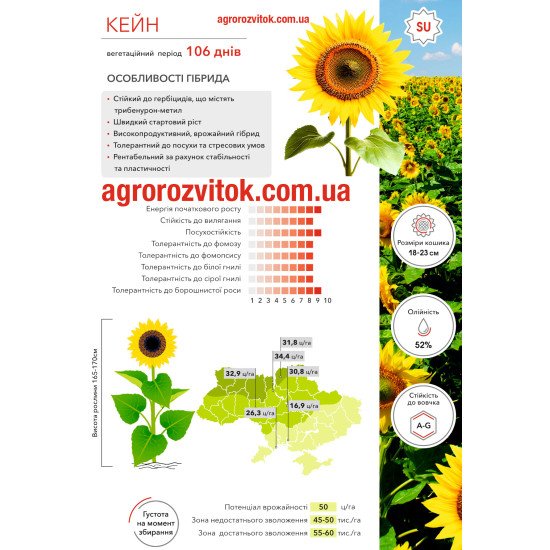 Соняшник Кейн Арт-Агро – насіння SU, стійкість A–G