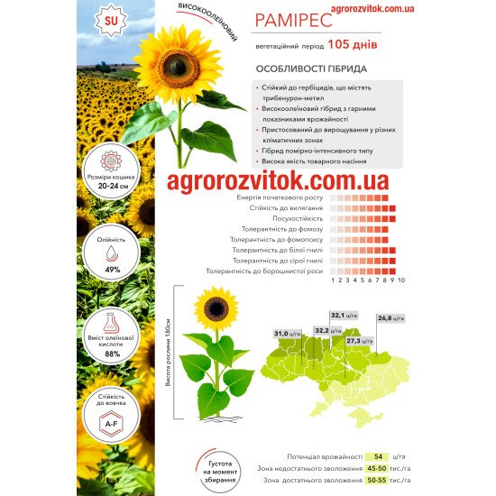 Соняшник Рамірес Арт-Агро – високоолеїновий SU-гібрид