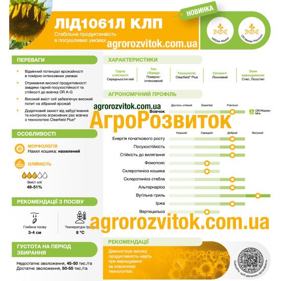 Соняшник ЛІД 1061 Л Лідеа - стабільна новинка для посушливих умов