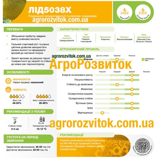 Соняшник ЛІД 5038 Х Лідеа - стабільний високоолеїновий гібрид з імунітетом до НБР
