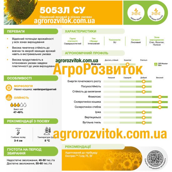 Соняшник 5053 Л СУ Лідеа - здорове стебло та інтенсивний врожай під Express™