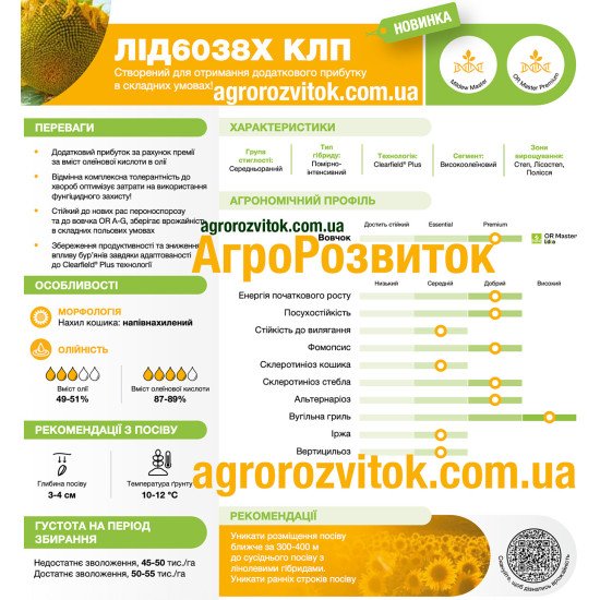 Соняшник ЛІД 6038 Х КЛП Лідеа - прибуткова новинка для складних умов