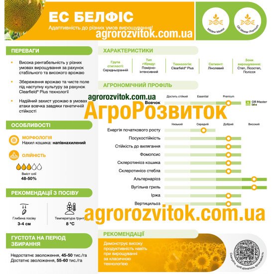 Соняшник ЕС Белфіс Лідеа - адаптивність та захист під технологію Clearfield® Plus