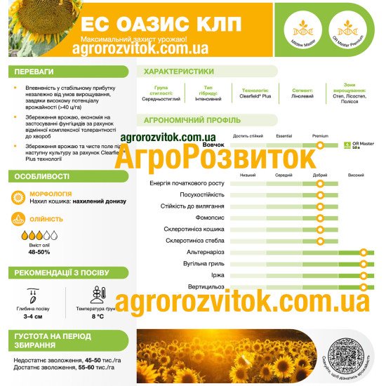Соняшник ЕС Оазис КЛП Лідеа - інтенсивний гібрид з максимальним імунітетом