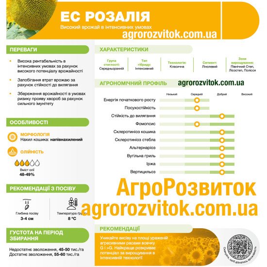 Соняшник ЕС Розалія Лідеа - інтенсивний гібрид для рекордних врожаїв