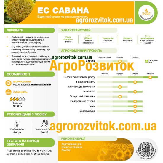 Соняшник ЕС Савана Лідеа - ранній гібрид з відмінним стартом для легких ґрунтів