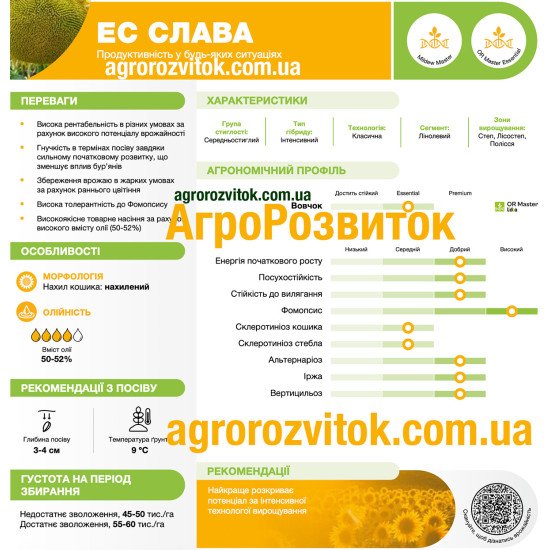 Соняшник ЕС Слава Лідеа - еталон олійності та толерантності до хвороб