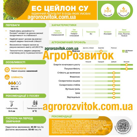 Соняшник ЕС Цейлон СУ Лідеа - посухостійкий лідер під технологію Express®