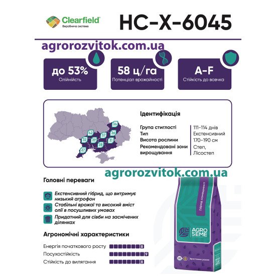 НСХ 6045 — насіння соняшника (Clearfield®, сербська селекція NS SEME)