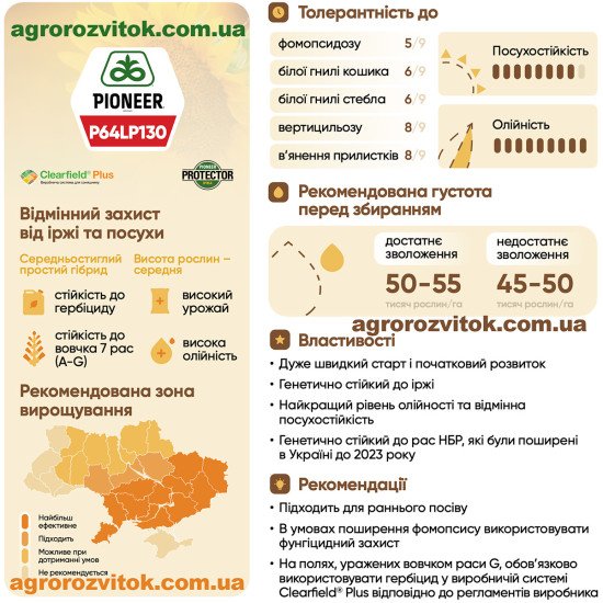 Соняшник Піонер 130 (P64LP130) – середньостиглий Clearfield Plus гібрид із високою посухостійкістю