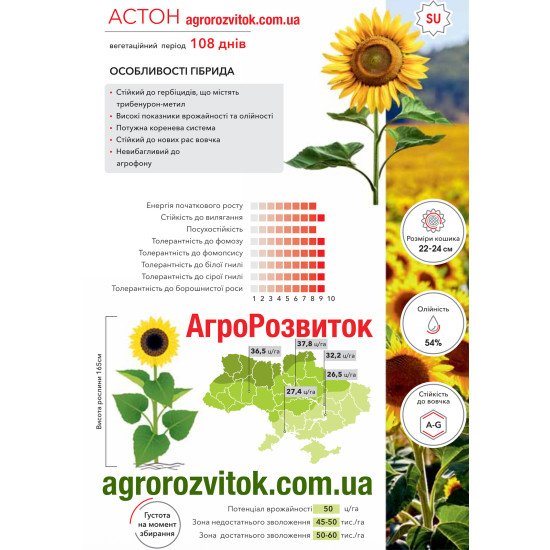 Соняшник Астон Арт-Агро - максимальна олійність та невибагливість під Express