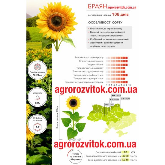 Соняшник Браян Арт-Агро - стабільність та висока врожайність (Класичний)