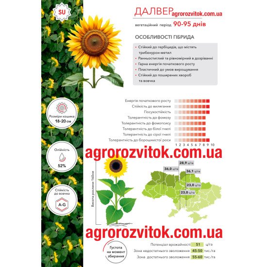 Соняшник Далвер Арт-Агро - суперранній гібрид під Express для швидкого врожаю