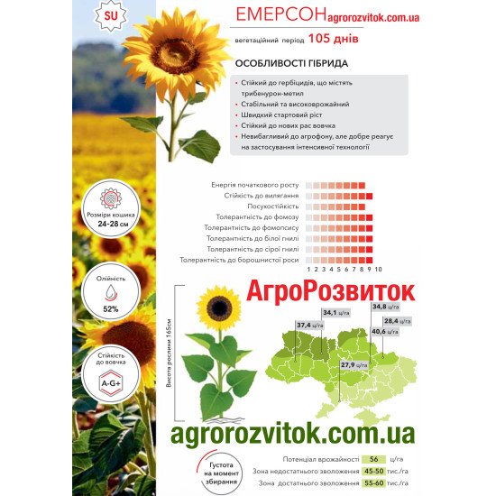 Соняшник Емерсон Арт-Агро - стабільність та технологічність під Express