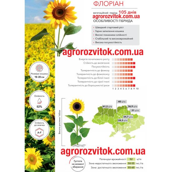 Соняшник Флоріан Арт-Агро - стабільність та висока олійність (Класичний)
