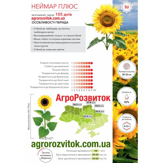 Соняшник Неймар Плюс Арт-Агро - покращений захист від вовчка під технологію Express