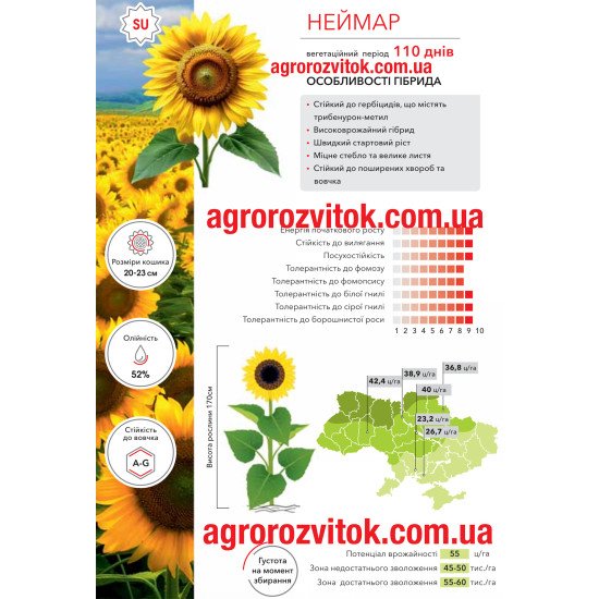 Соняшник Неймар Арт-Агро - потужний старт та високий врожай під Express