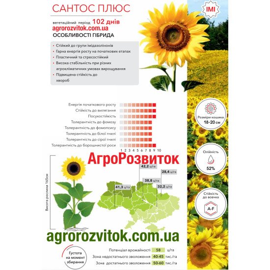 Соняшник Сантос Плюс Арт-Агро - ранньостиглий лідер під технологію Clearfield
