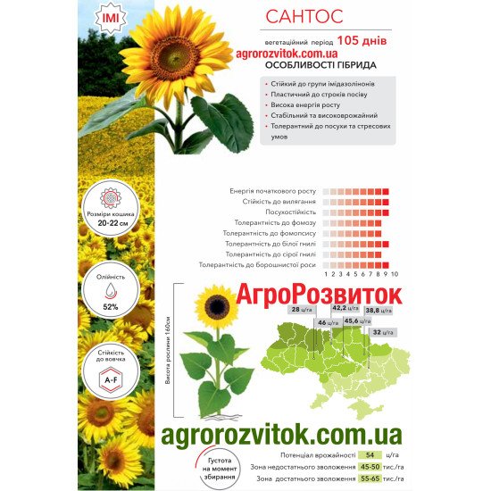 Соняшник Сантос Арт-Агро - пластичність та стабільність під Clearfield