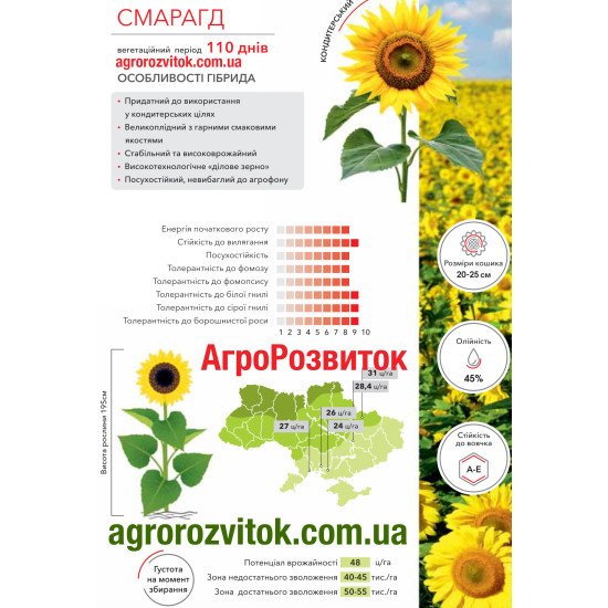 Соняшник Смарагд Арт-Агро - великоплідний кондитерський гібрид