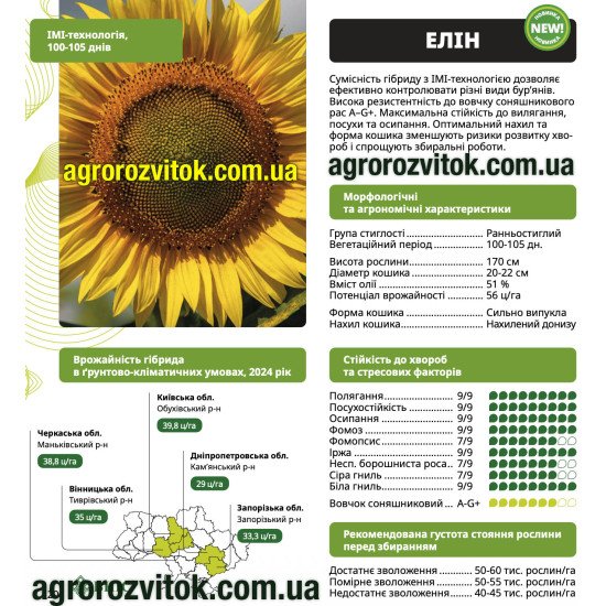 Насіння соняшника Елін ВНІС – ранньостиглий (100-105 днів), потенціал 5,6 т/га, вовчок A–G+