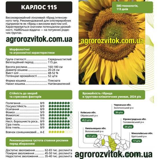 Насіння соняшника Карлос 115 ВНІС – середньостиглий (115 днів), потенціал 5,2 т/га, вовчок A–E