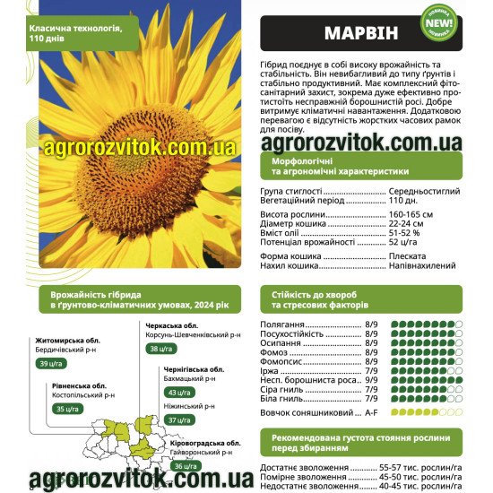 Насіння соняшника Марвін ВНІС – середньостиглий (110 днів), потенціал 5,2 т/га, вовчок A–F