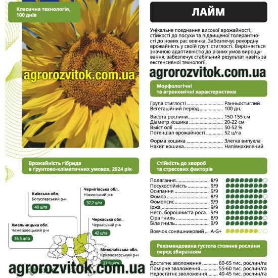Насіння соняшника Лайм ВНІС – ранньостиглий (100 днів), потенціал 5,2 т/га, вовчок A–G+