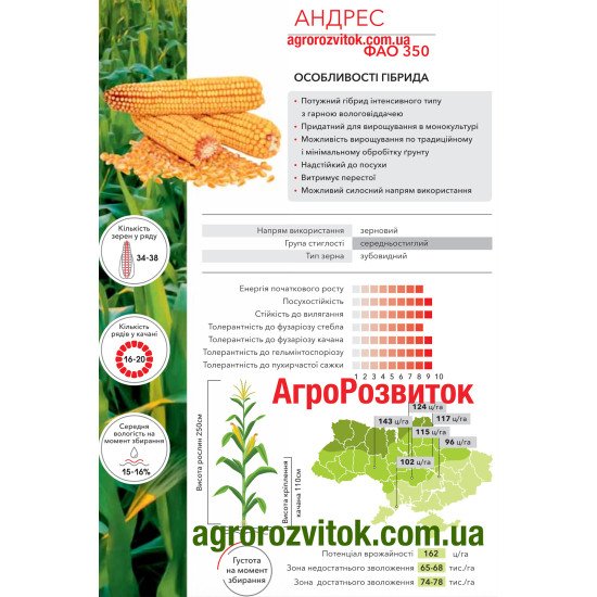 Кукурудза Андрес Арт-Агро - потужний інтенсивний гібрид (ФАО 350)