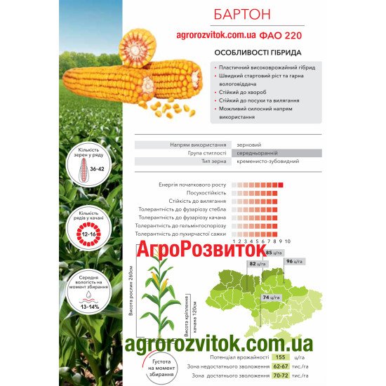 Кукурудза Бартон Арт-Агро - пластичність та ранньостиглість (ФАО 220)