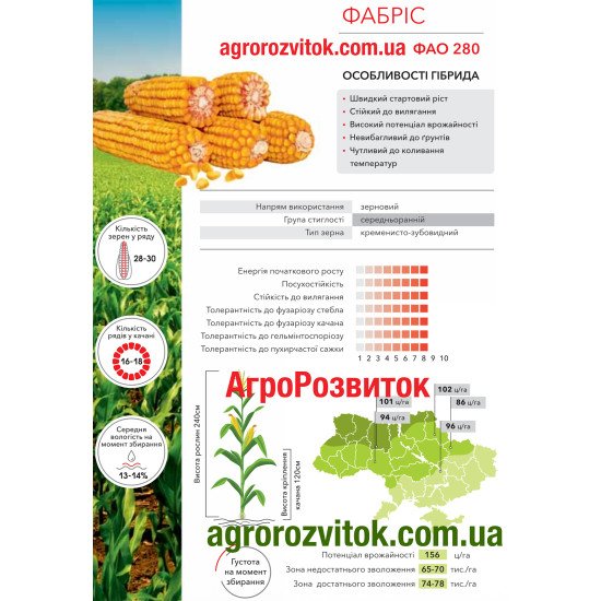 Кукурудза Фабріс Арт-Агро - високий потенціал та стійкість до вилягання (ФАО 280)