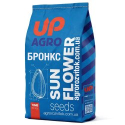 Бронкс