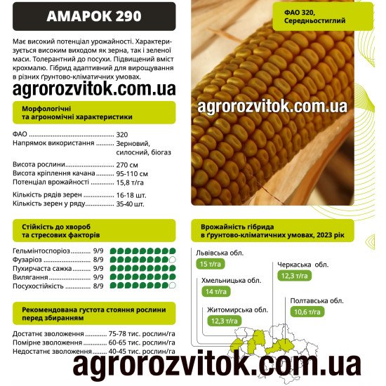 Насіння кукурудзи Амарок 290 ВНІС – ФАО 320, потенціал 15,8 т/га