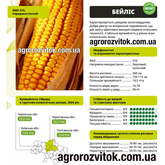 Насіння кукурудзи Бейліз ВНІС – ФАО 310, потенціал 19,5 т/га