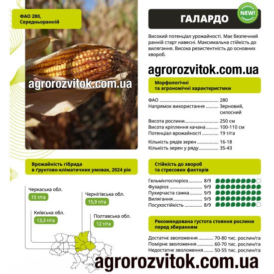 Насіння кукурудзи Галардо ВНІС – ФАО 280, потенціал 19 т/га