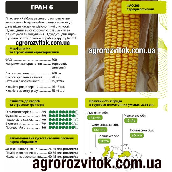 Насіння кукурудзи Гран 6 ВНІС – ФАО 300, потенціал 15,9 т/га