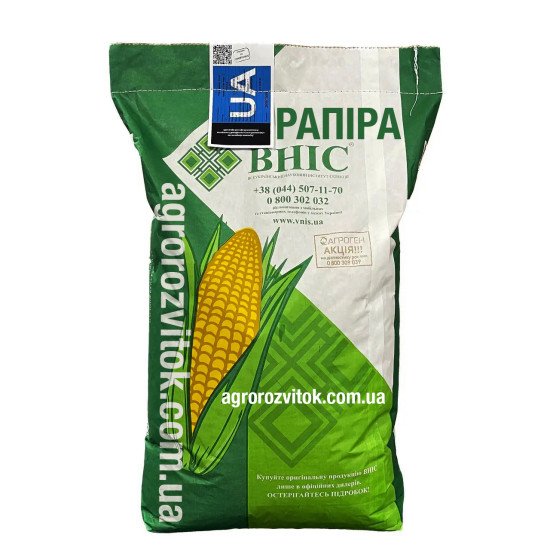 Насіння кукурудзи Рапіра ВНІС – ФАО 180, потенціал 15 т/га