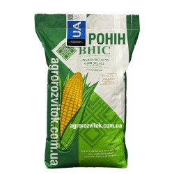 Ронін
