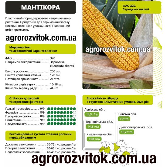 Насіння кукурудзи Мантікора ВНІС – ФАО 320, потенціал 21 т/га