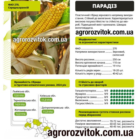 Насіння кукурудзи Парадіз ВНІС – ФАО 270, потенціал 19 т/га