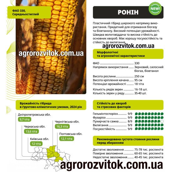 Насіння кукурудзи Ронін ВНІС – ФАО 330, потенціал 18 т/га