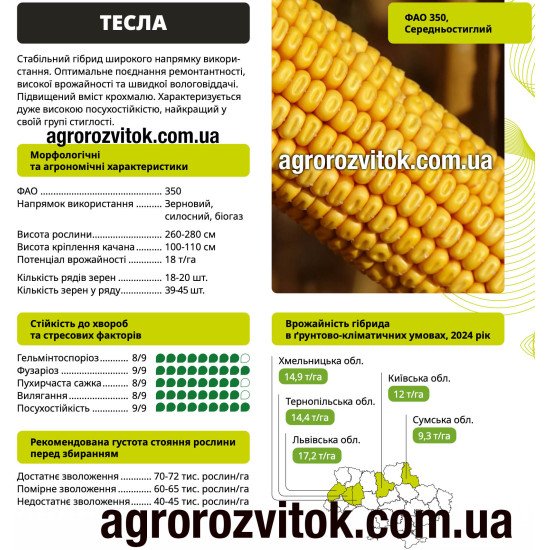 Насіння кукурудзи Тесла ВНІС – ФАО 350, потенціал 18 т/га