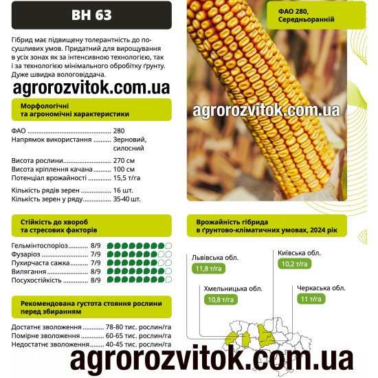 Насіння кукурудзи ВН 63 ВНІС – ФАО 280, потенціал 15,5 т/га