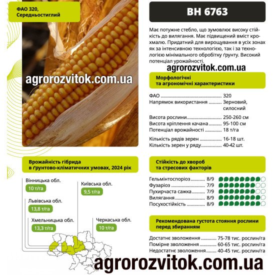 Насіння кукурудзи ВН 6763 ВНІС – ФАО 320, потенціал 18 т/га