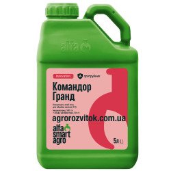 Командор Гранд