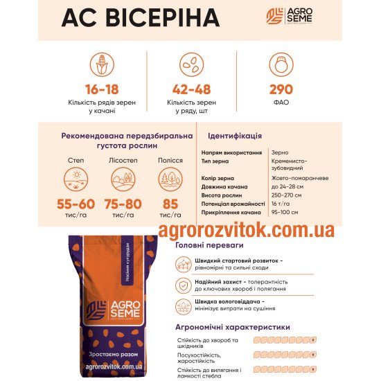 Кукурудза Вісеріна (АС Вісеріна) AgroSeme – ФАО 290