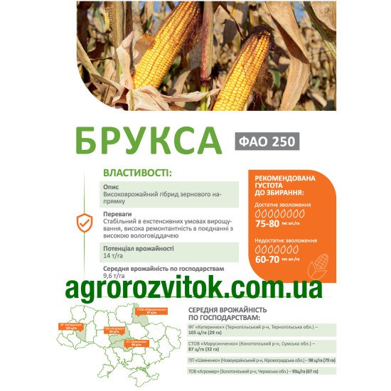 Кукурудза Брукса ДеМаркус – високоврожайний зерновий гібрид, стабільна 9,6–14 т/га
